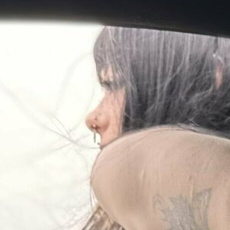 hondawhxre model hd photo