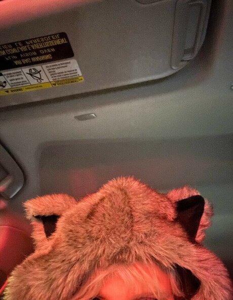 Katycarnegie star pornographic galleries