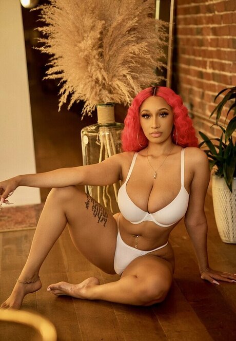 BiggieBando model top img