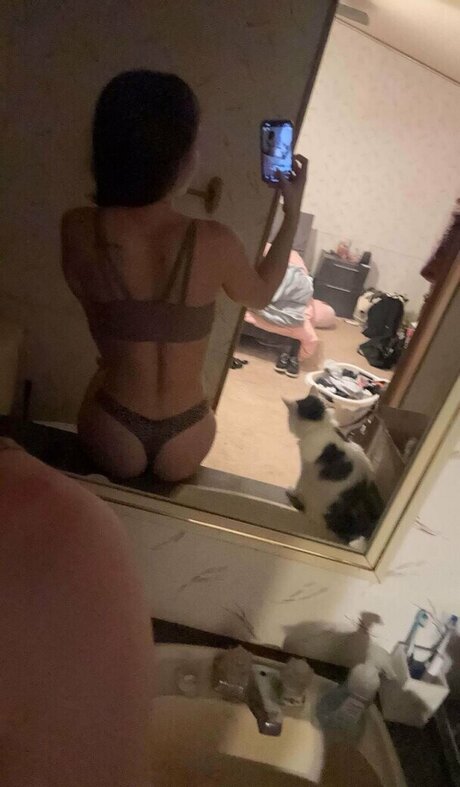 paigetosexy high quality star image