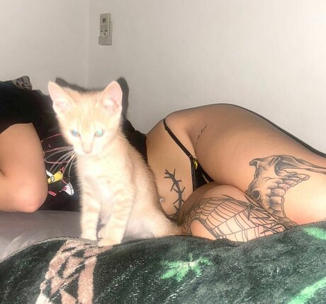 giulicapri_ best model img