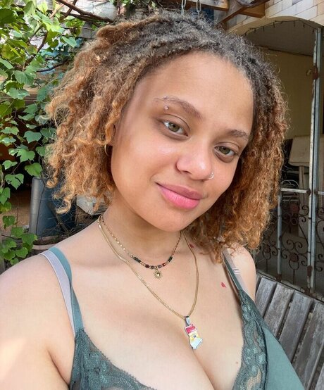 Lexcova star art archive