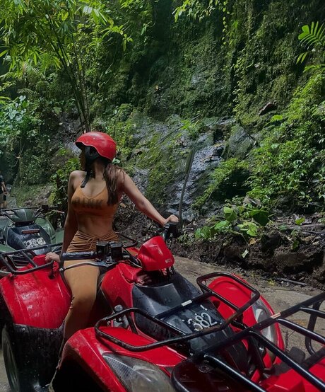 Pakhi Gadh model art pics