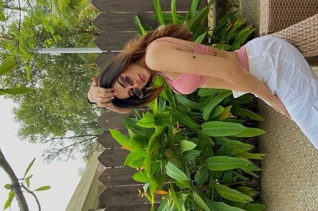 Pakhi Gadh star art pics