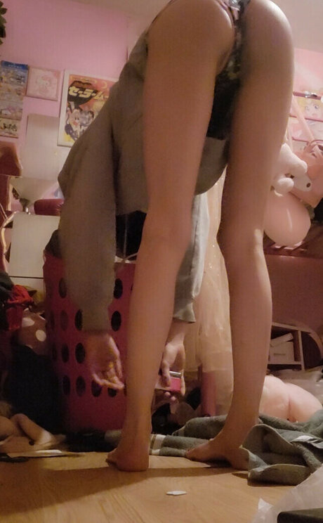 Ariel Harris nice star galleries