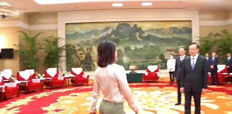 Annalena Baerbock star beautiful image