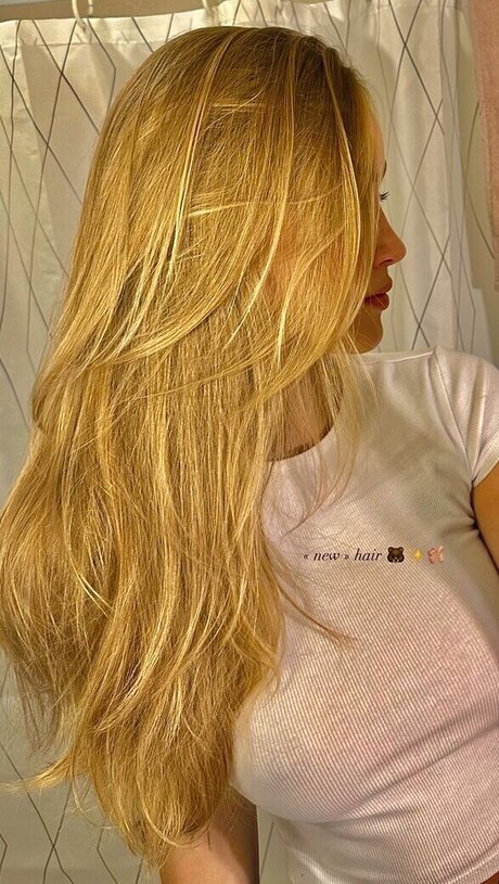 inga brtls star free picture