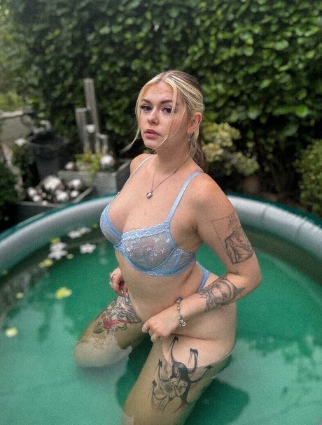 Feneliactx hd star image