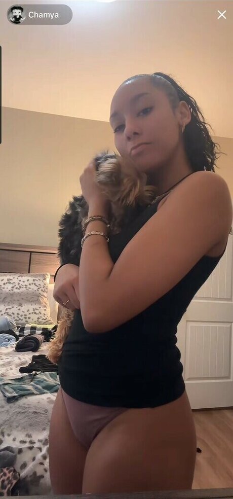 Chamya Johnson pornstar nudes gallery