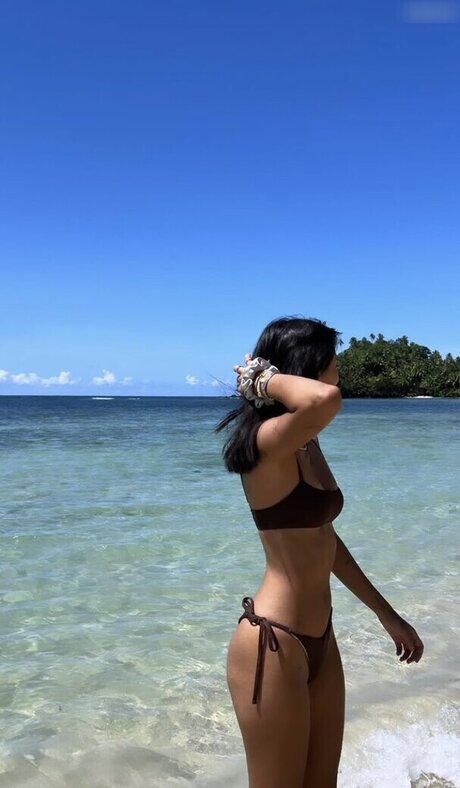 Liane Polt star free images