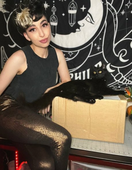 SailorTabbyCat adult star image