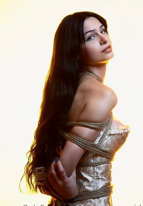 Linaroeschr exclusive star archive