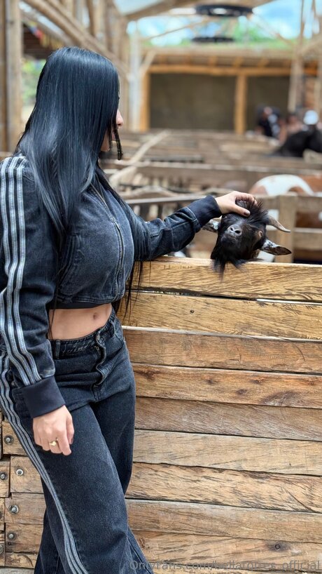 bellatorres official nice pornstar img