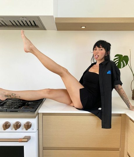 Lights Poxleitner model high quality image