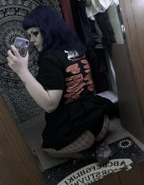 booberry star high quality photo