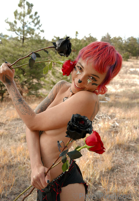 PixiePixelized star sexy photos