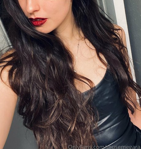 musemegara art star galleries