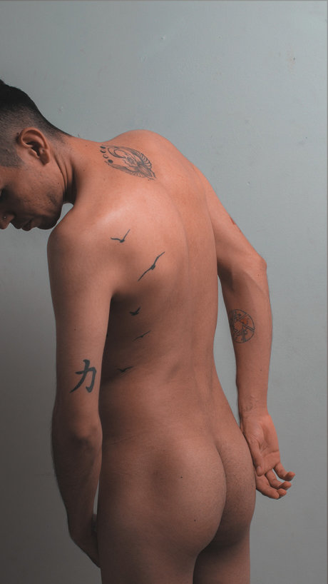 lenerpardo pornstar free img