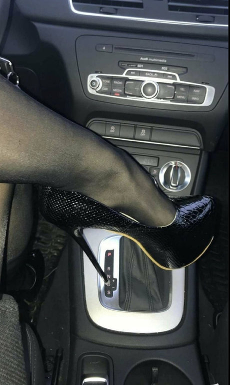 Liinchen perfect star galleries