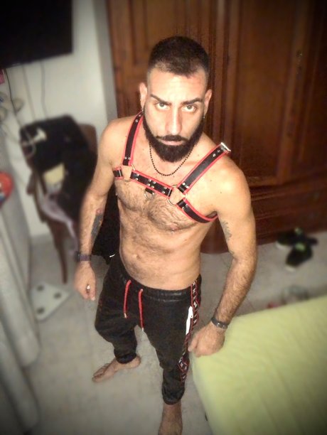 Lotus Gold star high quality image