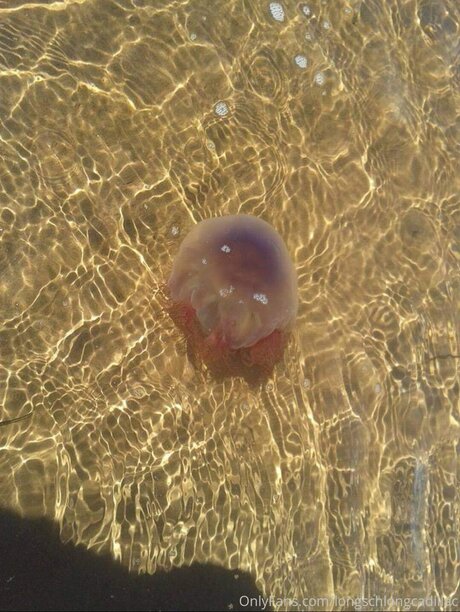 Cadillac porn model pics