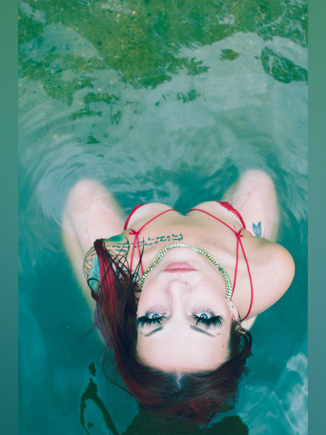 Harley Queen_ star best picture