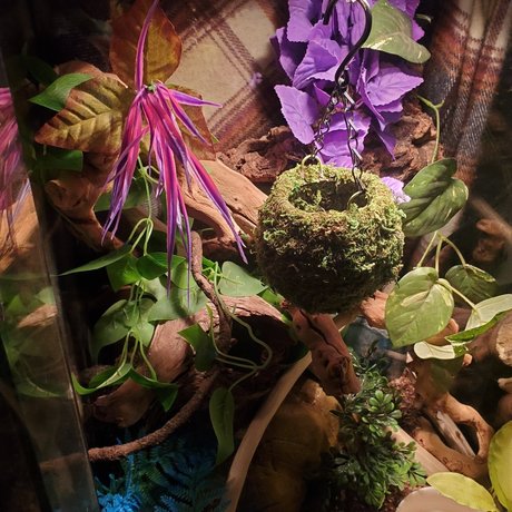 Luscious Lilth xxx model archive