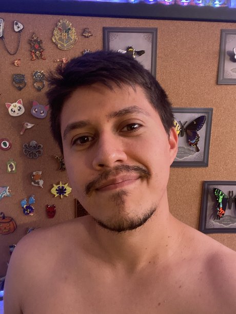 Luisinundies star free photos