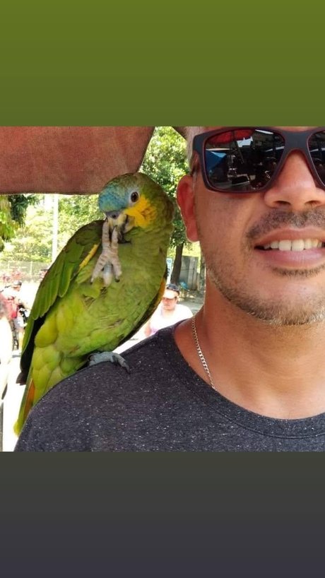 Marcello Rio de janeiro model naked gallery