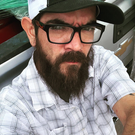 Bearded amp ampMajestic star art image