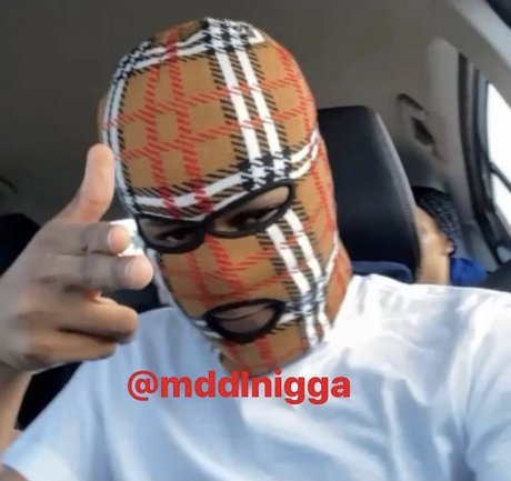 dmvdl star erotic img