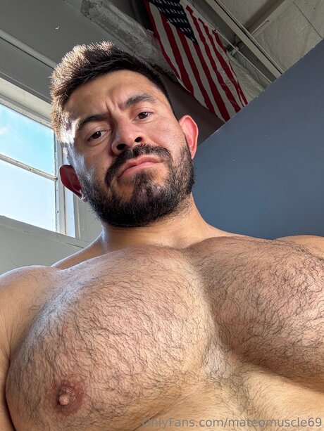 Mateo Muscle beautiful star gallery