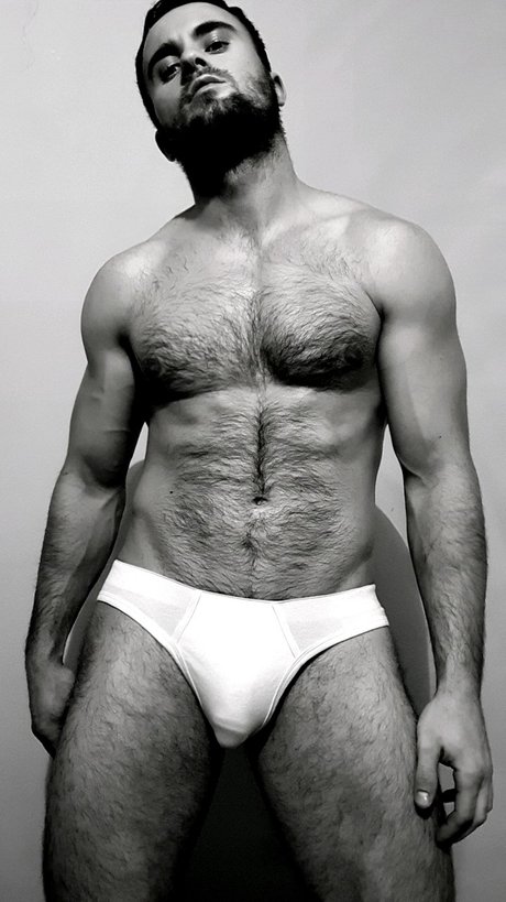 Metam rf model galleries