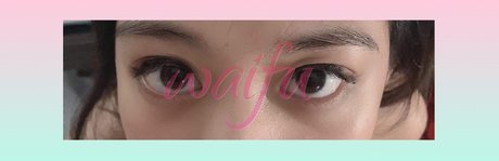 MollydooNeko_ model art image