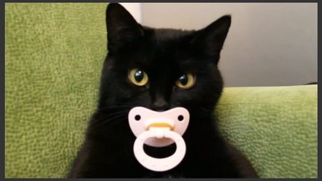 Erotic Taboo Literature 693 pretty model pictures