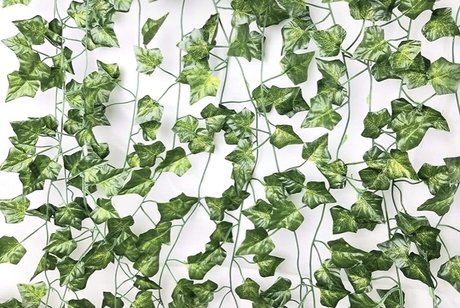 Care star perfect img