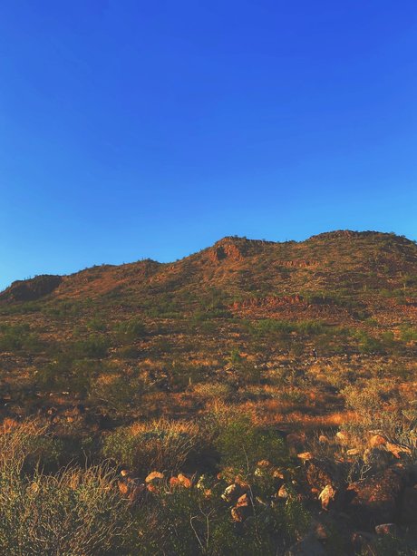 _Stella Rose_ pornstar naked photos