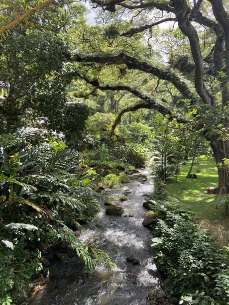 Kaelyn Michelle_ model free gallery