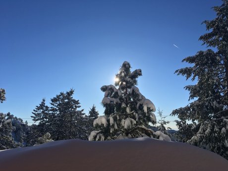 Nate Oakley perfect star photos