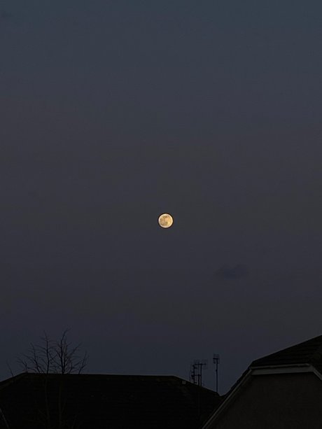 Must be nice pornographic star photo