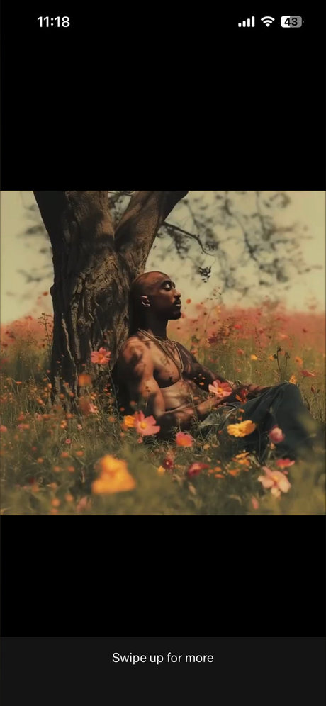 Miss Slayz Amiri B_ perfect pornstar galleries