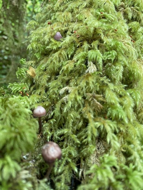 NoOne pornstar sexy galleries