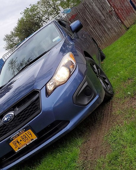 Ndg model pretty pics