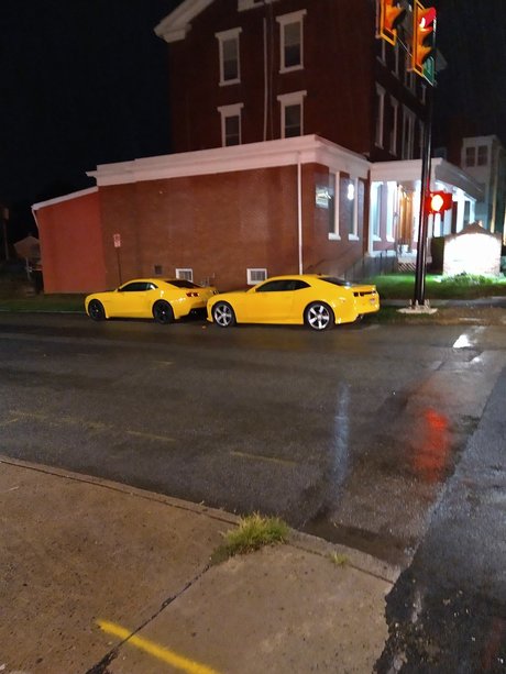 Nasty N8 sexy star image