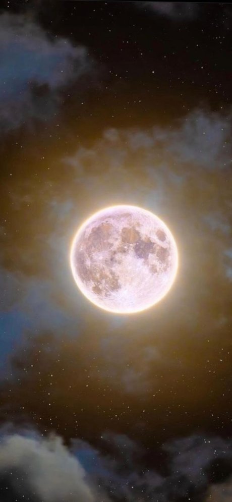 nastyia star free image