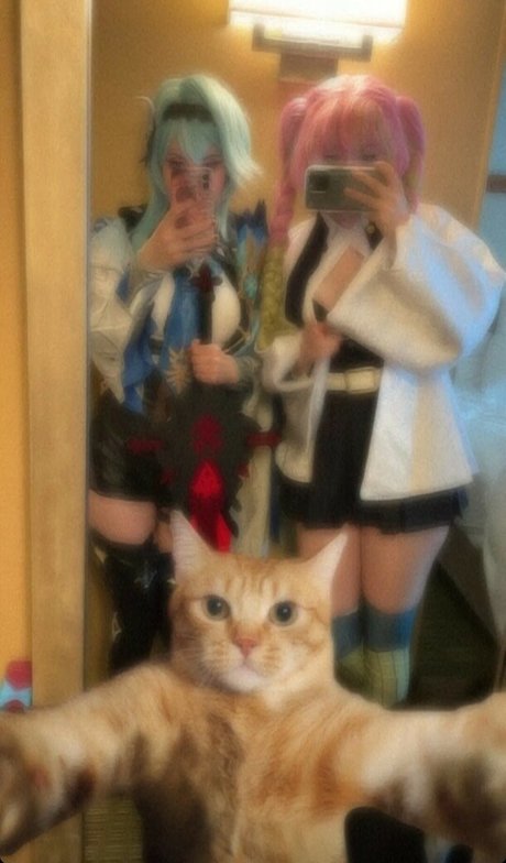 Realfrogg star nudes pics