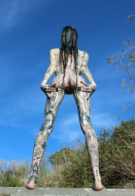 babyskeleton star hd gallery