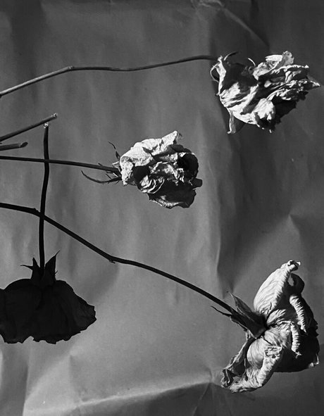 ivi ivinskaya star hot pics