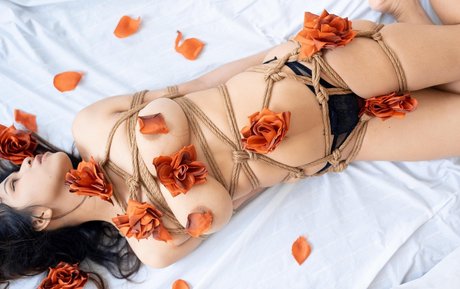 Ai Natsumi art model galleries