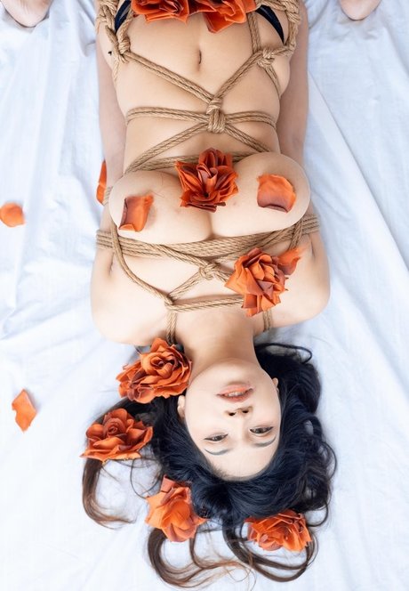 Ai Natsumi nude star archive